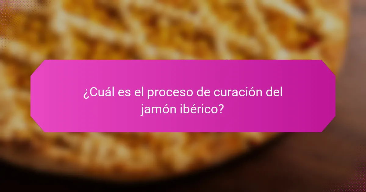 ¿Cuál es el proceso de curación del jamón ibérico?