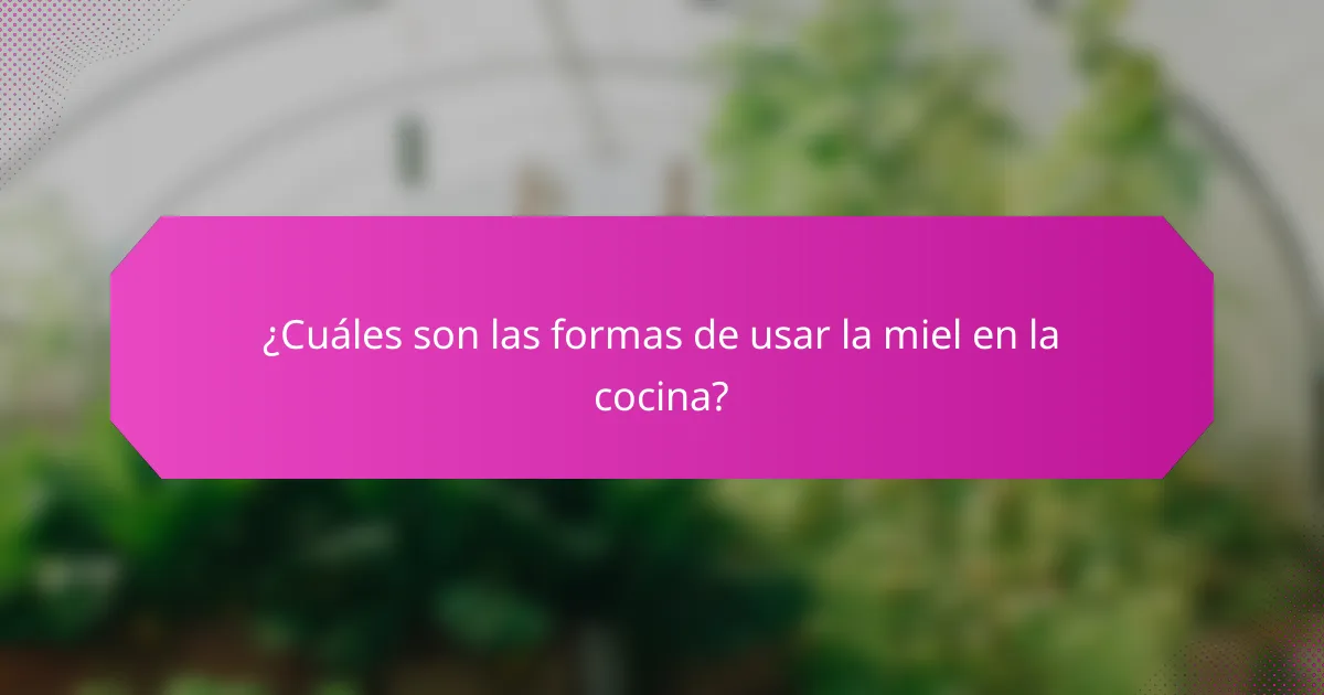 ¿Cuáles son las formas de usar la miel en la cocina?