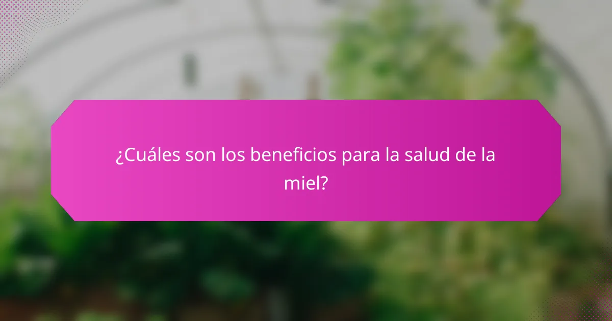 ¿Cuáles son los beneficios para la salud de la miel?