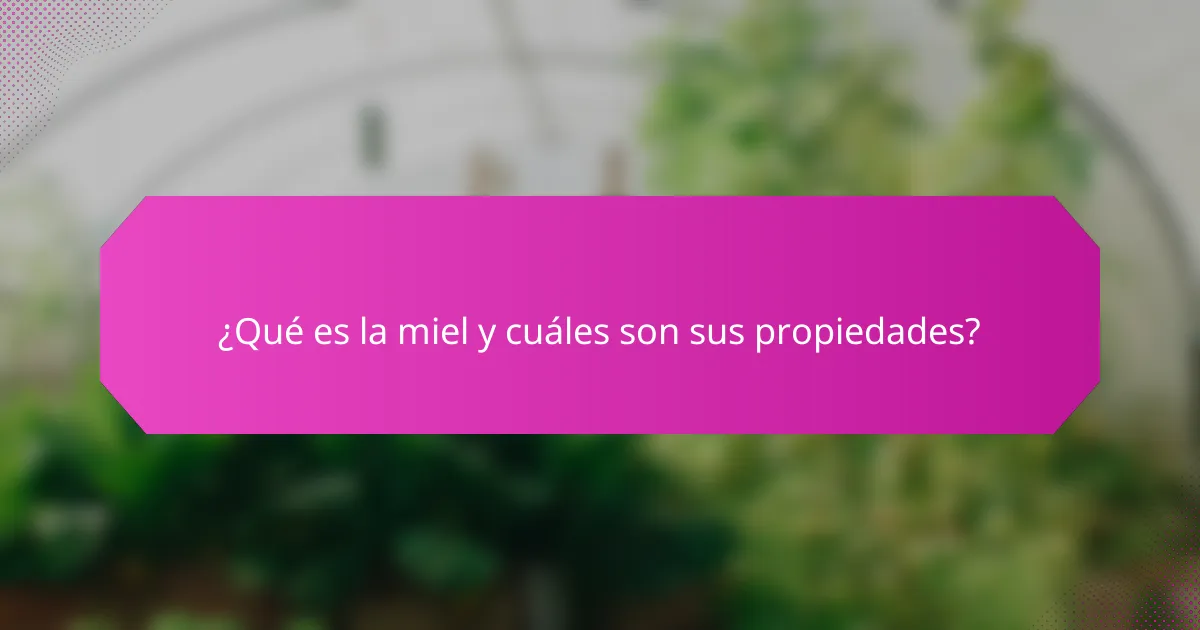 ¿Qué es la miel y cuáles son sus propiedades?